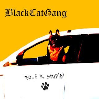 BlackCatGang – Dogs R Stupid