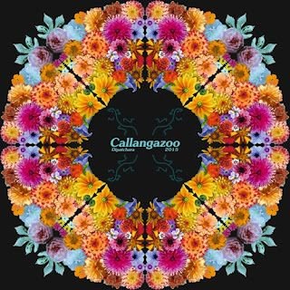 Callangazoo – Dipatchara