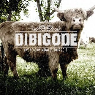 Dibigode – Live Session Midwest Tour