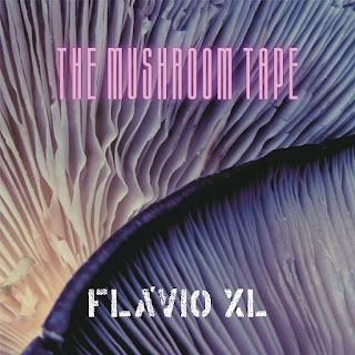 Flávio XL – THE MUSHROOM TAPE