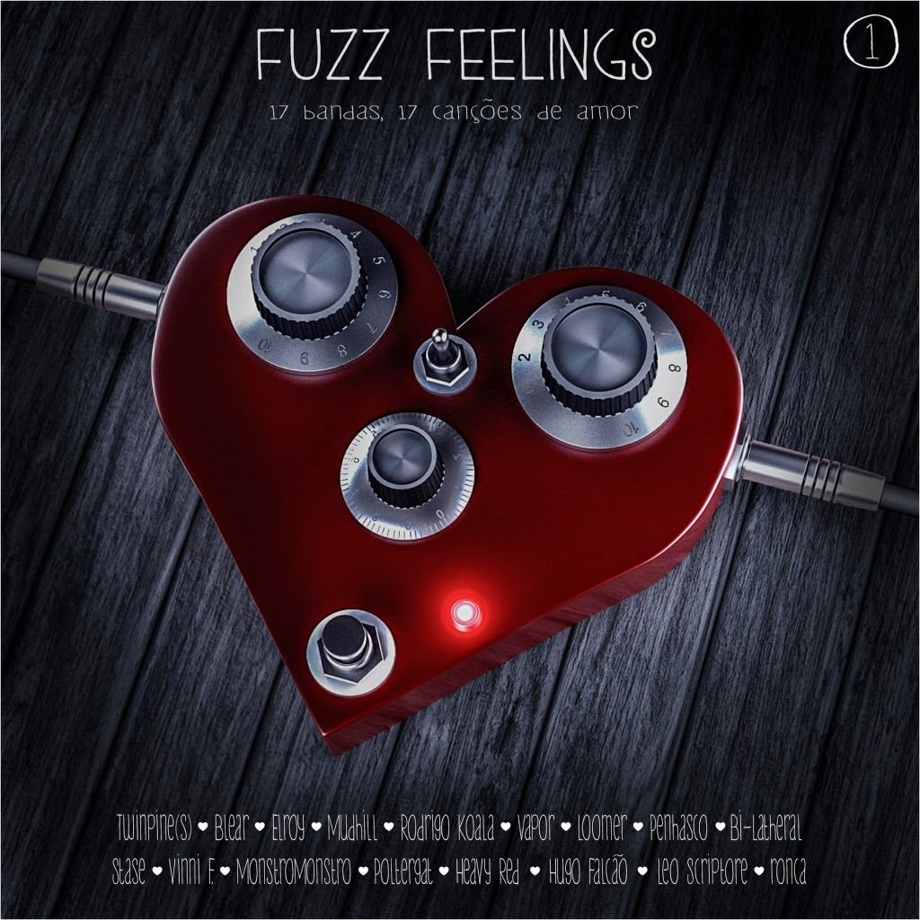 Fuzz Feelings – 17 bandas, 17 canÃ§Ãµes de amor