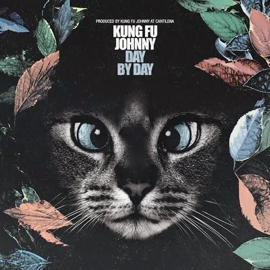 Kung Fu Johnny – Day By Day