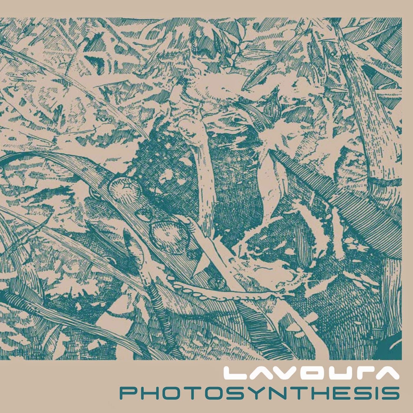 Lavoura – Photosynthesis