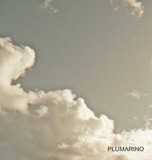 Plumarino – Senseless
