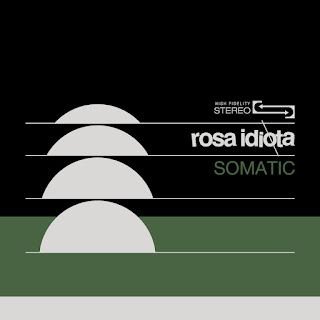 Rosa Idiota – Somatic