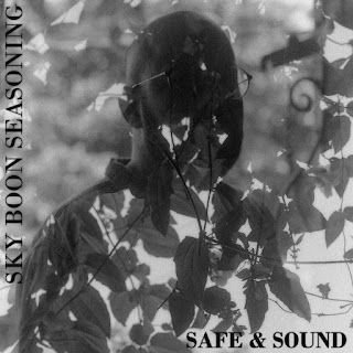Sky Boon Seasoning – Safe & Sound