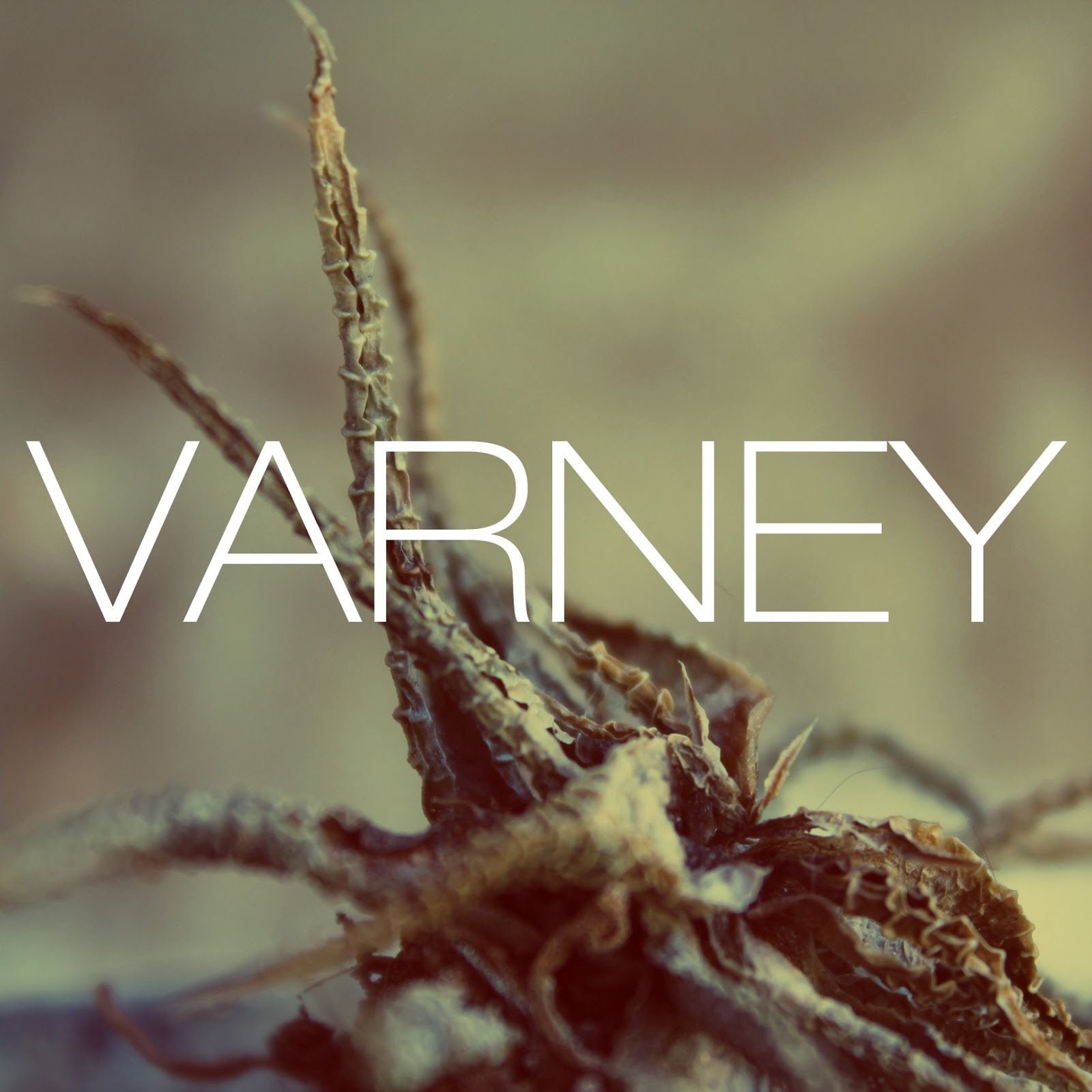 Varney – Varney EP