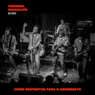 Terminal Guadalupe – Como Despontar para o Anonimato