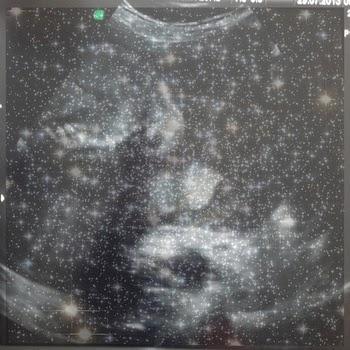 A Espiral De Bukowski – B1620-25i