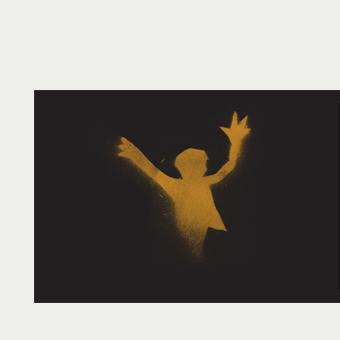 Acessórios Essenciais – Vestígios da Megafauna