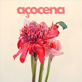 Açocena – Açocena