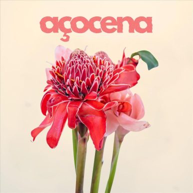 Açocena – Açocena