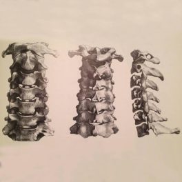 Adamante – Exercícios Sobre Mundanidade