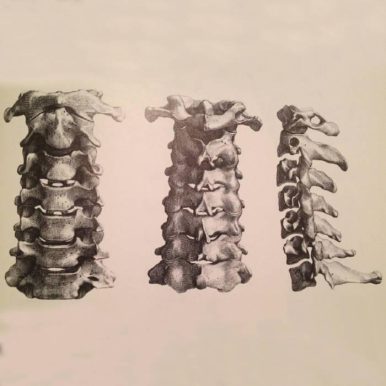 Adamante – Exercícios Sobre Mundanidade