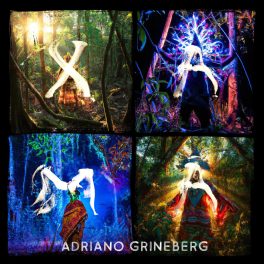 Adriano Grineberg – Xamã