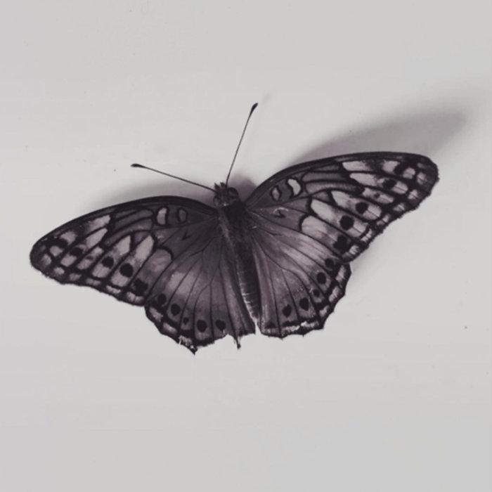 Ailew – The Last Dawn of The Earth