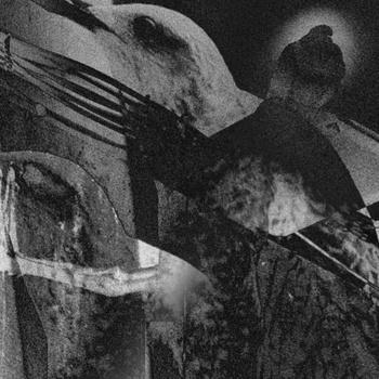 Alce Garoto – Garoto Alce