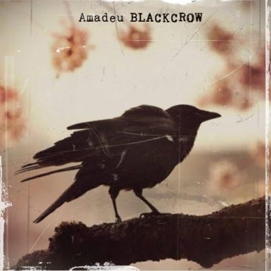 Amadeu – Black Crow