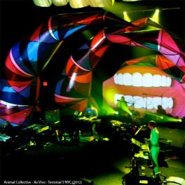 Animal Collective – Ao Vivo – Terminal 5