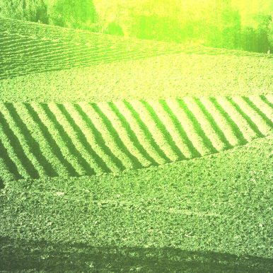 Arados – Arados II