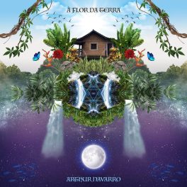 Arthur Navarro – À Flor da Terra