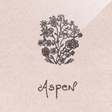 Aspen – EP