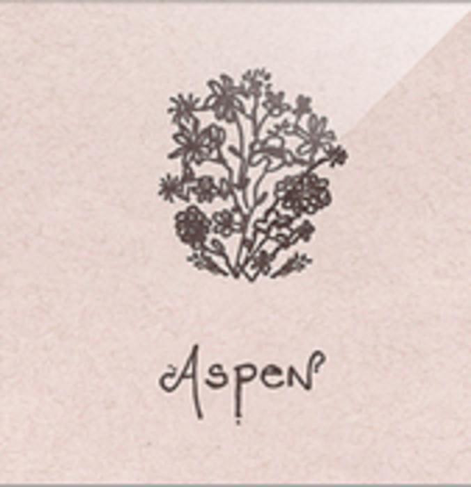 Aspen – EP
