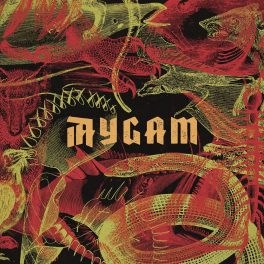 AYGAM – AYGAM