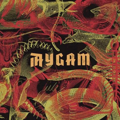 AYGAM – AYGAM