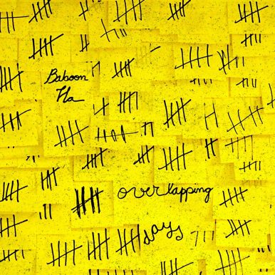 Baboon Ha – Overlapping Days