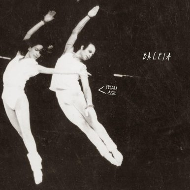 Baleia – Quebra Azul