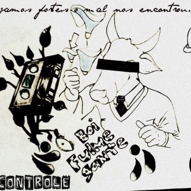 Boi Fulmegante – Descontrole