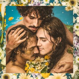 Bolhazul – Florescer