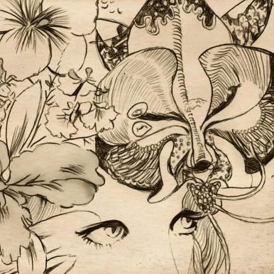 Bonifrate – Um Futuro Inteiro