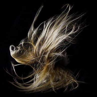 Boreal – Boreal EP