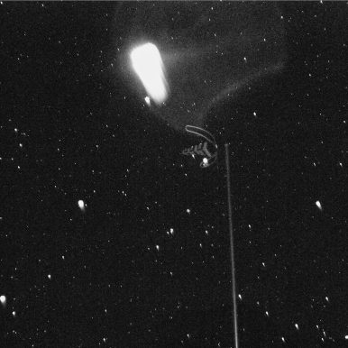 Bruno Berle – Arapiraca, Maceió, 2013