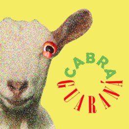 Cabra Guaraná – MicroEP