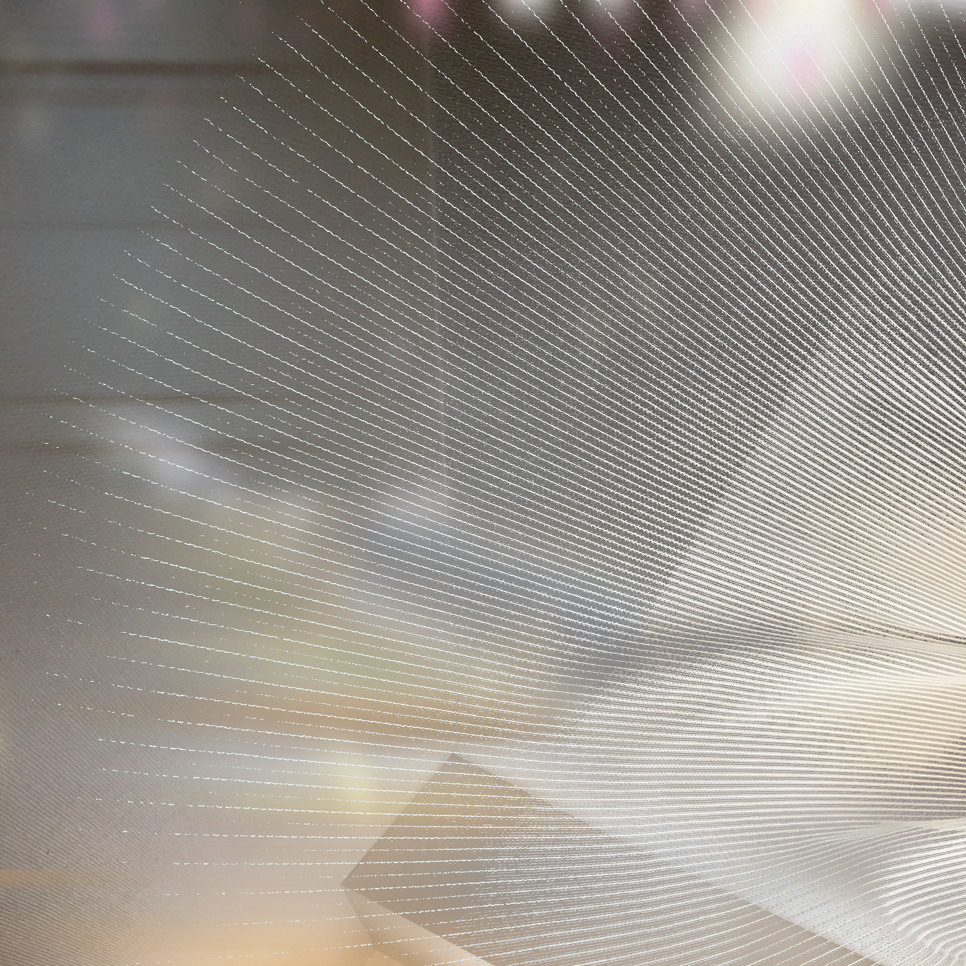 Cadu Tenório – 孤立: Room Memoirs