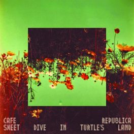 Cafe Republica – Sweet Dive in Turtle’s Land …