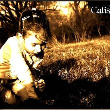 Calistoga – Single