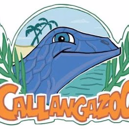 Callangazoo – Callangazoo EP