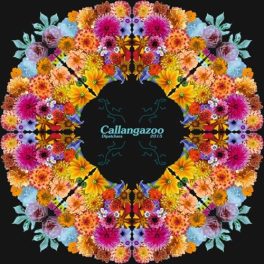 Callangazoo – Dipatchara