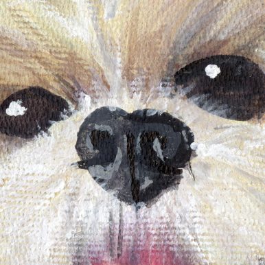 calvin voichicoski & pelocurto – bodoque