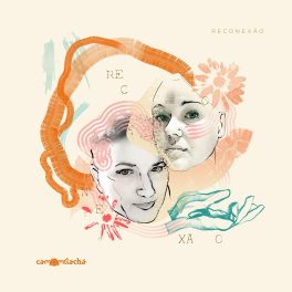 Camomila Chá – Reconexão