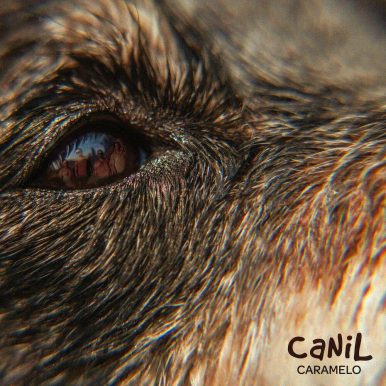 Canil – Caramelo