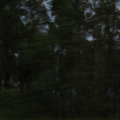 Carandina – Trilha