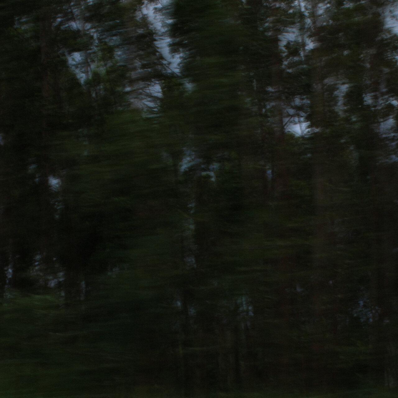 Carandina – Trilha