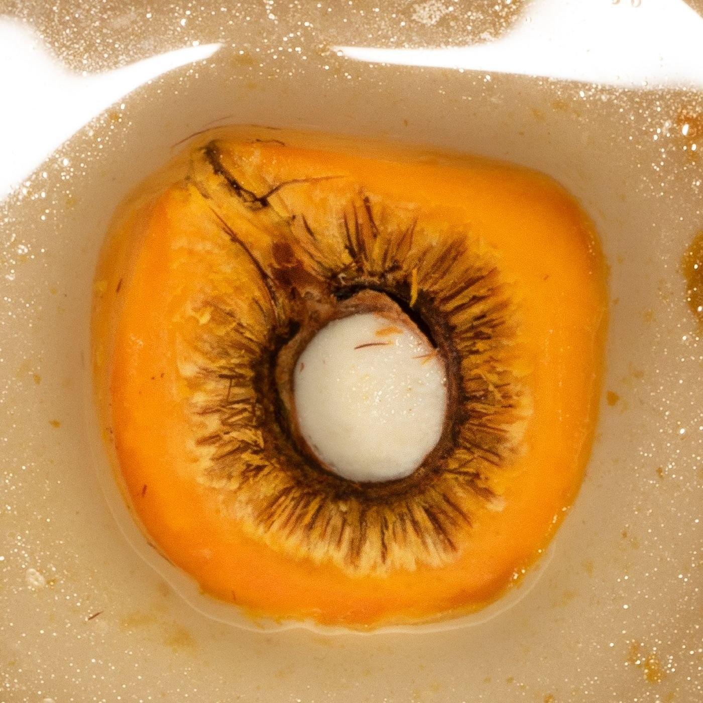 Carne Doce – Interior