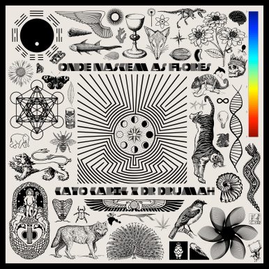 Cayo Carig, Dr. Drumah – Onde Nascem As Flores