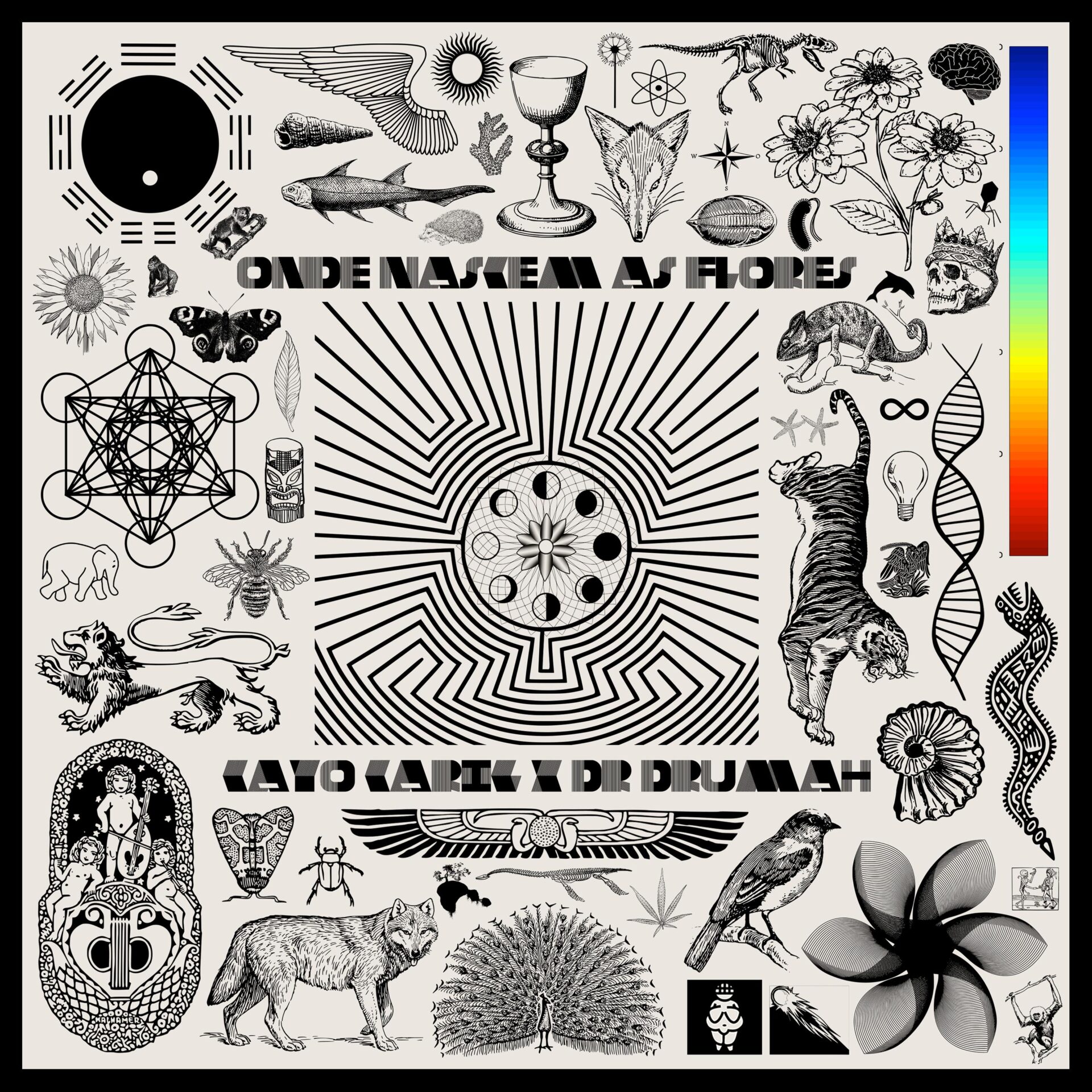 Cayo Carig, Dr. Drumah – Onde Nascem As Flores